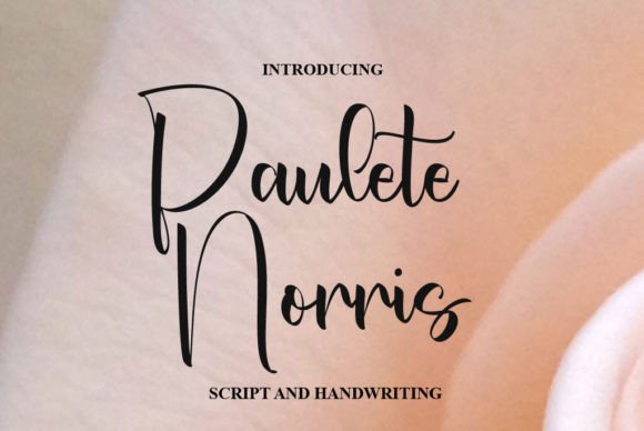 Paulete Norris Font for Business Branding